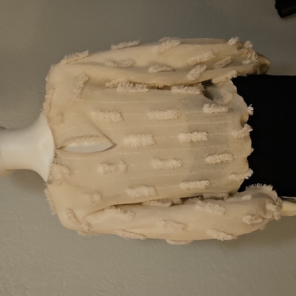 ZARA Cream Textured Metallic Gold Balloon Sleeve Oversized Sheer Blouson Top - Picture 6 of 7